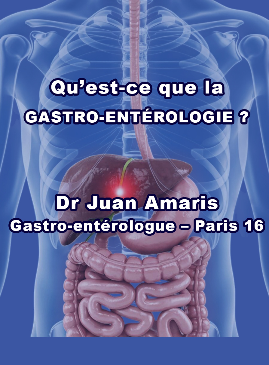 Illustration de l’appareil digestif – gastro-entérologue à Paris Dr Juan Amaris
