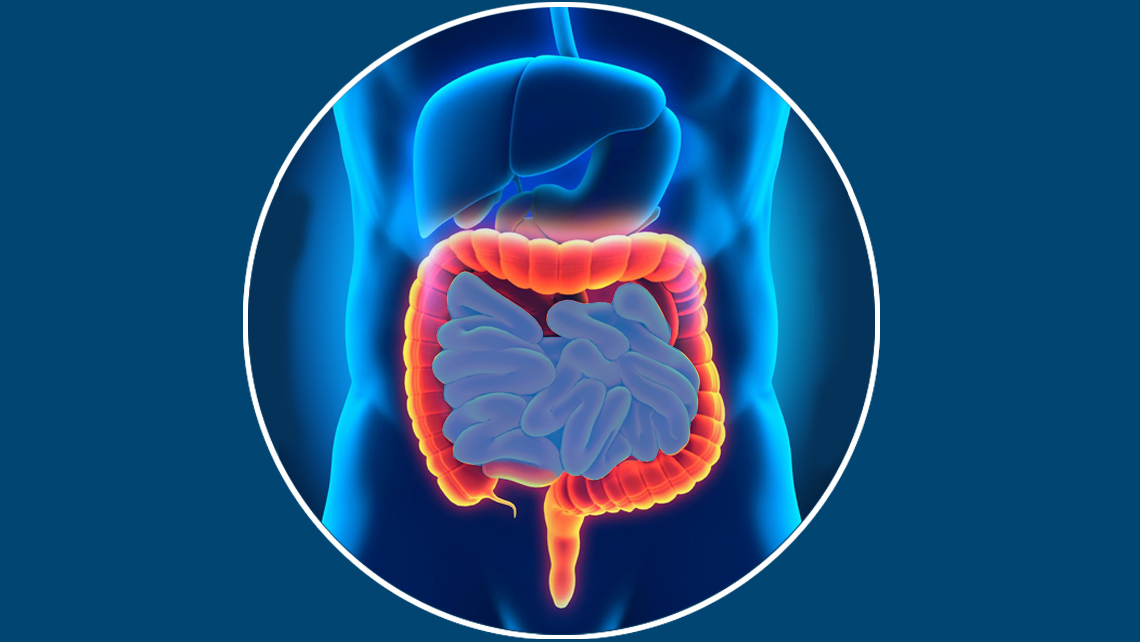 Actes réalisés par le Dr Juan Amaris. Différentes pathologies, maladies inflammatoires chroniques de l’intestin (MICI) coloscopie, gastroscopie, colite.