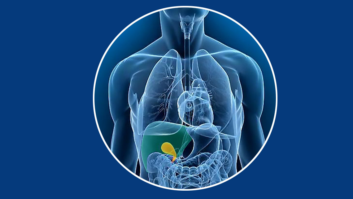 Pathologies, intolérances alimentaires, docteur Amaris, spécialiste, maladies, estomac, malabsorbtions, le gluten, calculs biliaires ou lithiase biliaire,